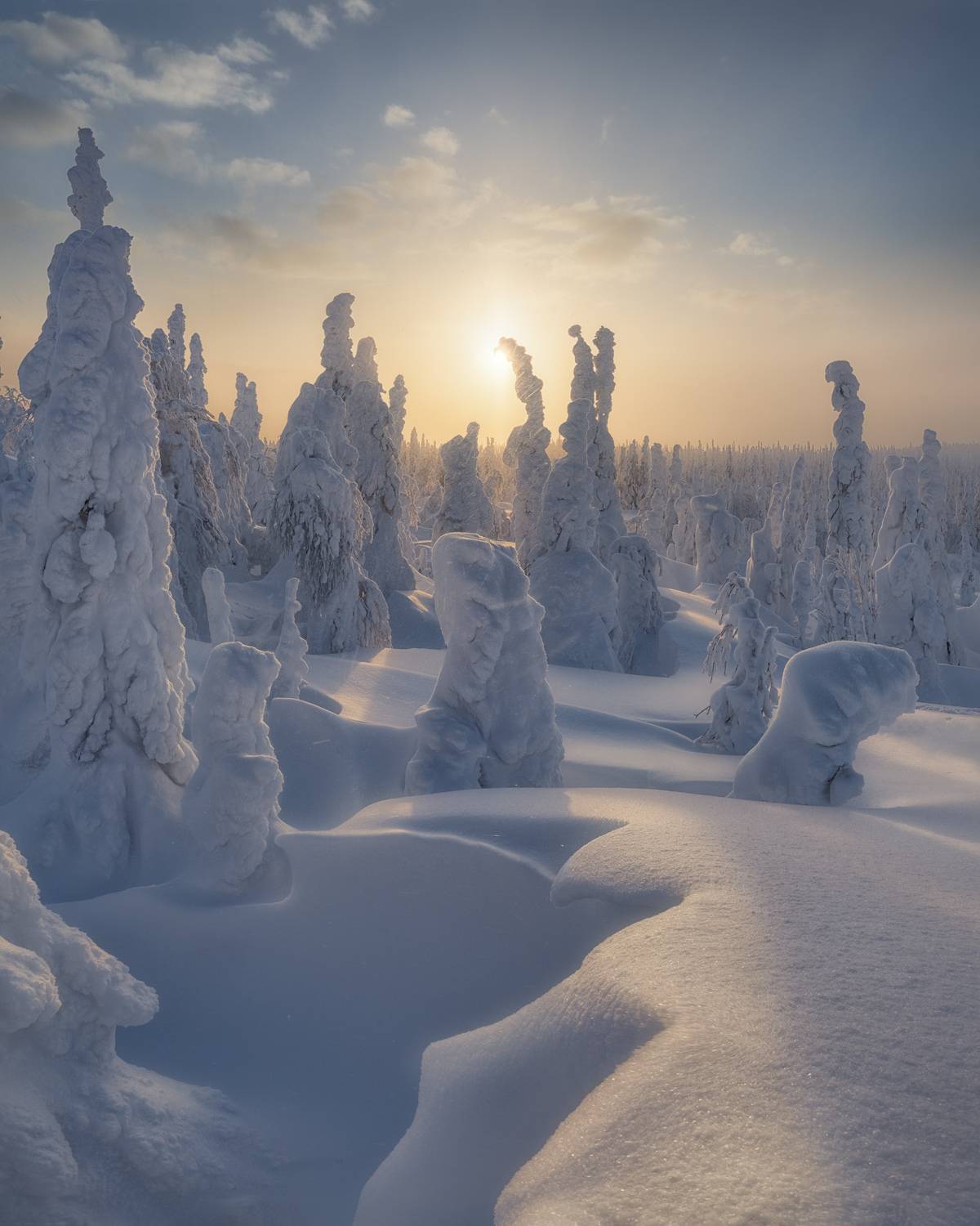 , Медянцев Дмитрий