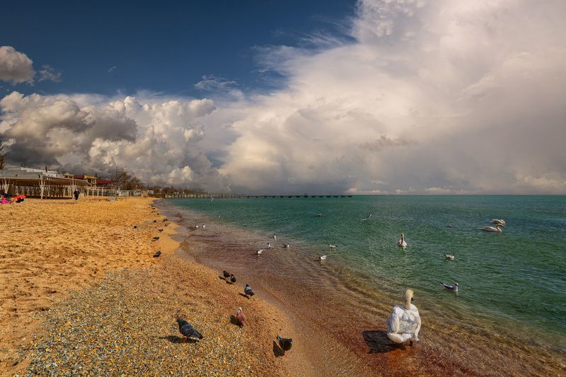 Где то дождик идет фото превью