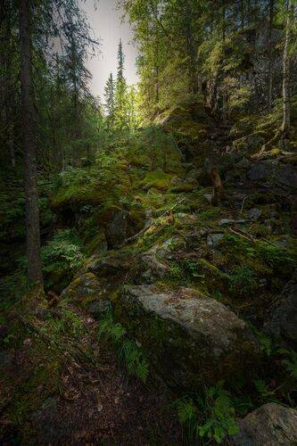 Почти у цели!..