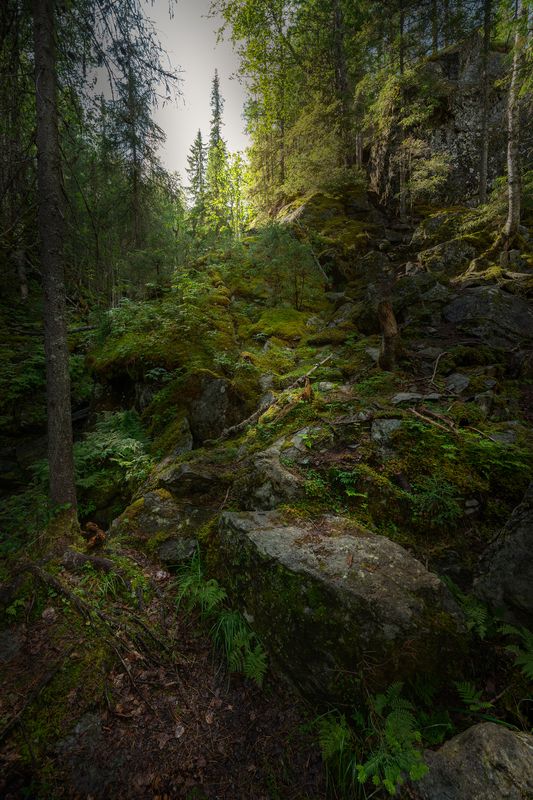 Пермский край, река Жигалан, водопады Почти у цели!.. фото превью