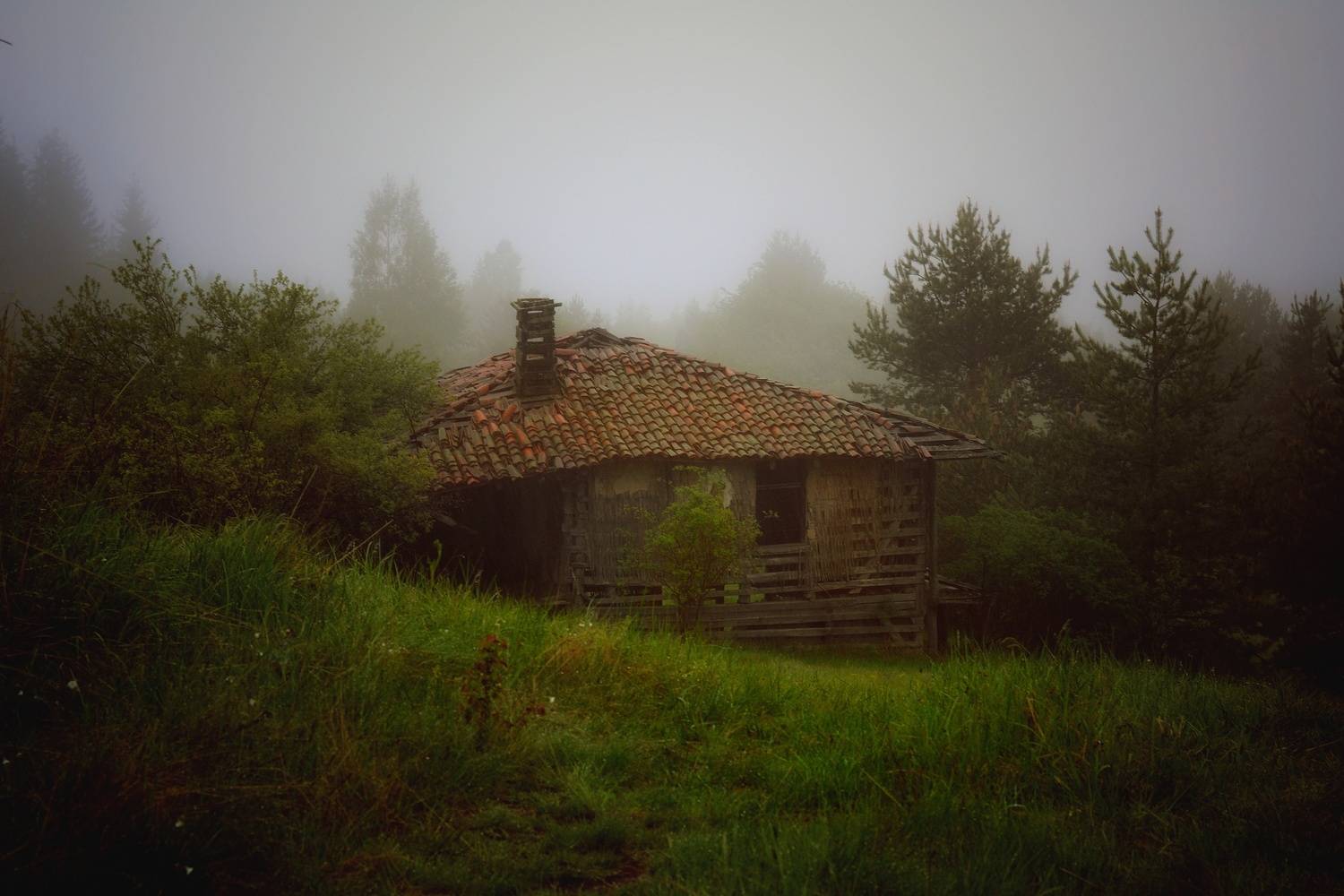 , Юлияна Стоянова