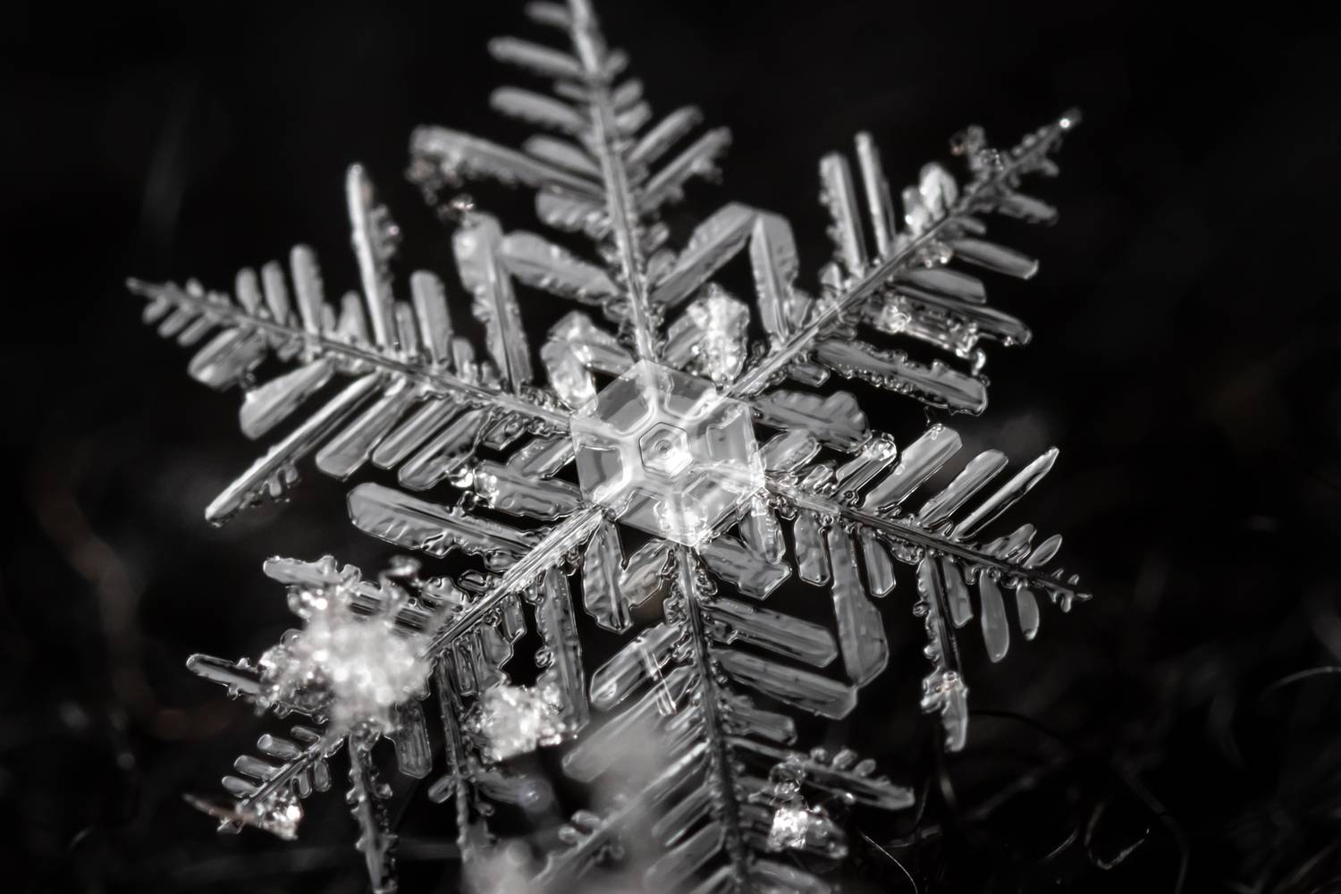 , Вячеслав Мельников