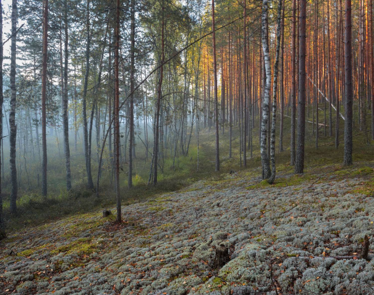 , Юрий Андреев