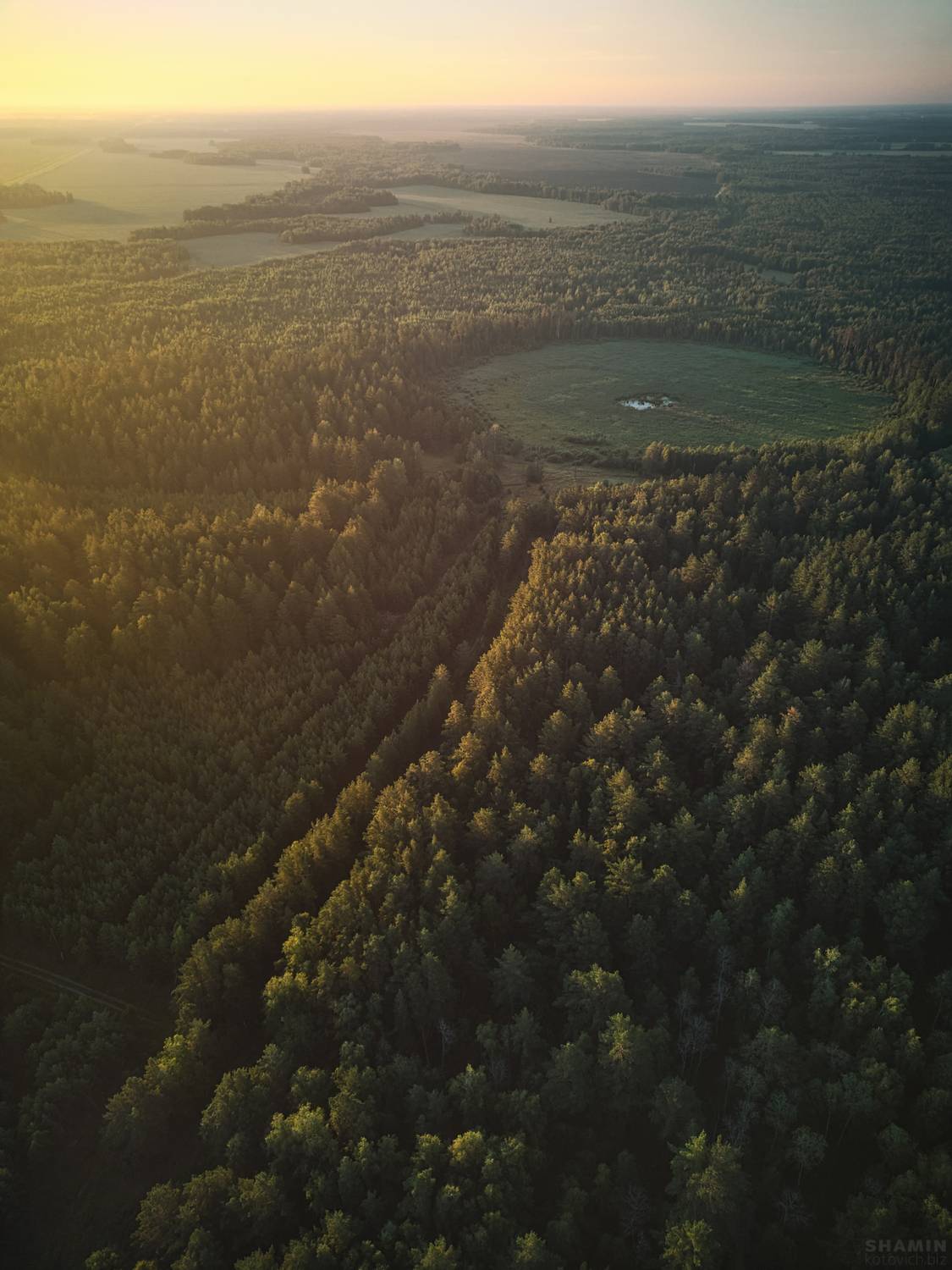 , Константин Шамин