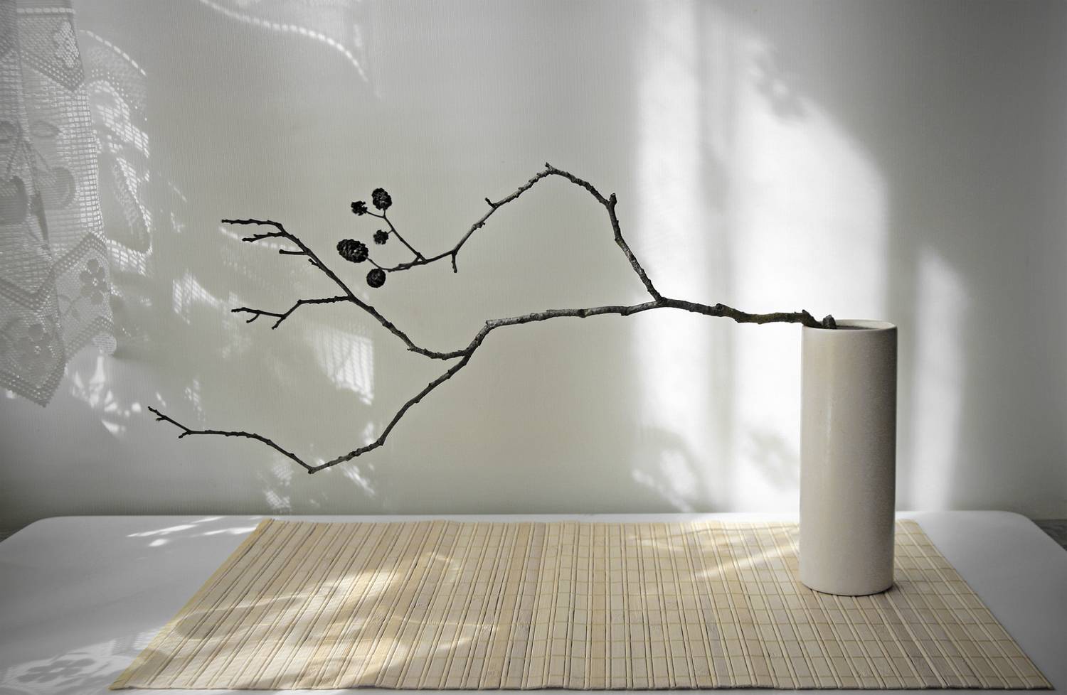 , Заболотская Ольга