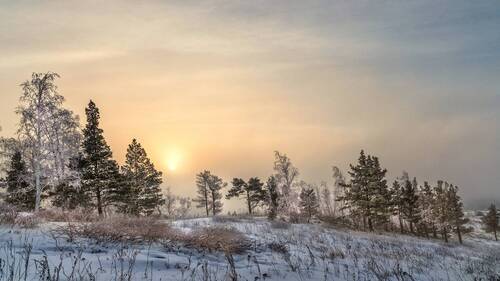 Томное утро
