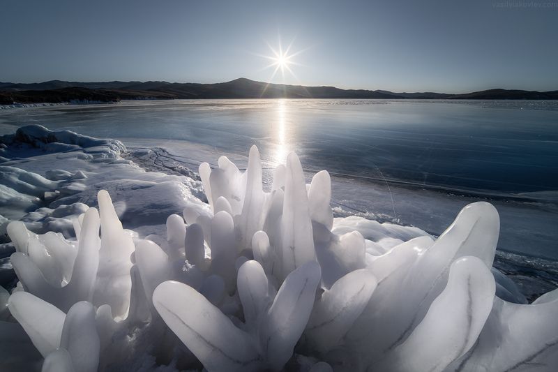 бай Ледяные кораллы фото превью