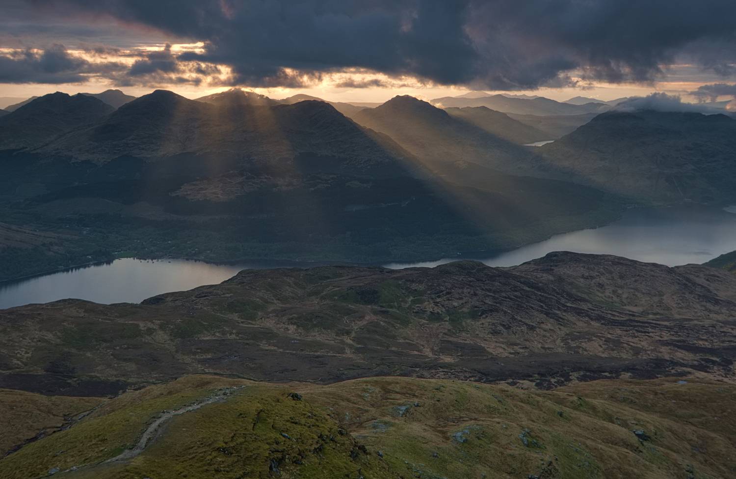 , Wojciech Tarnowski