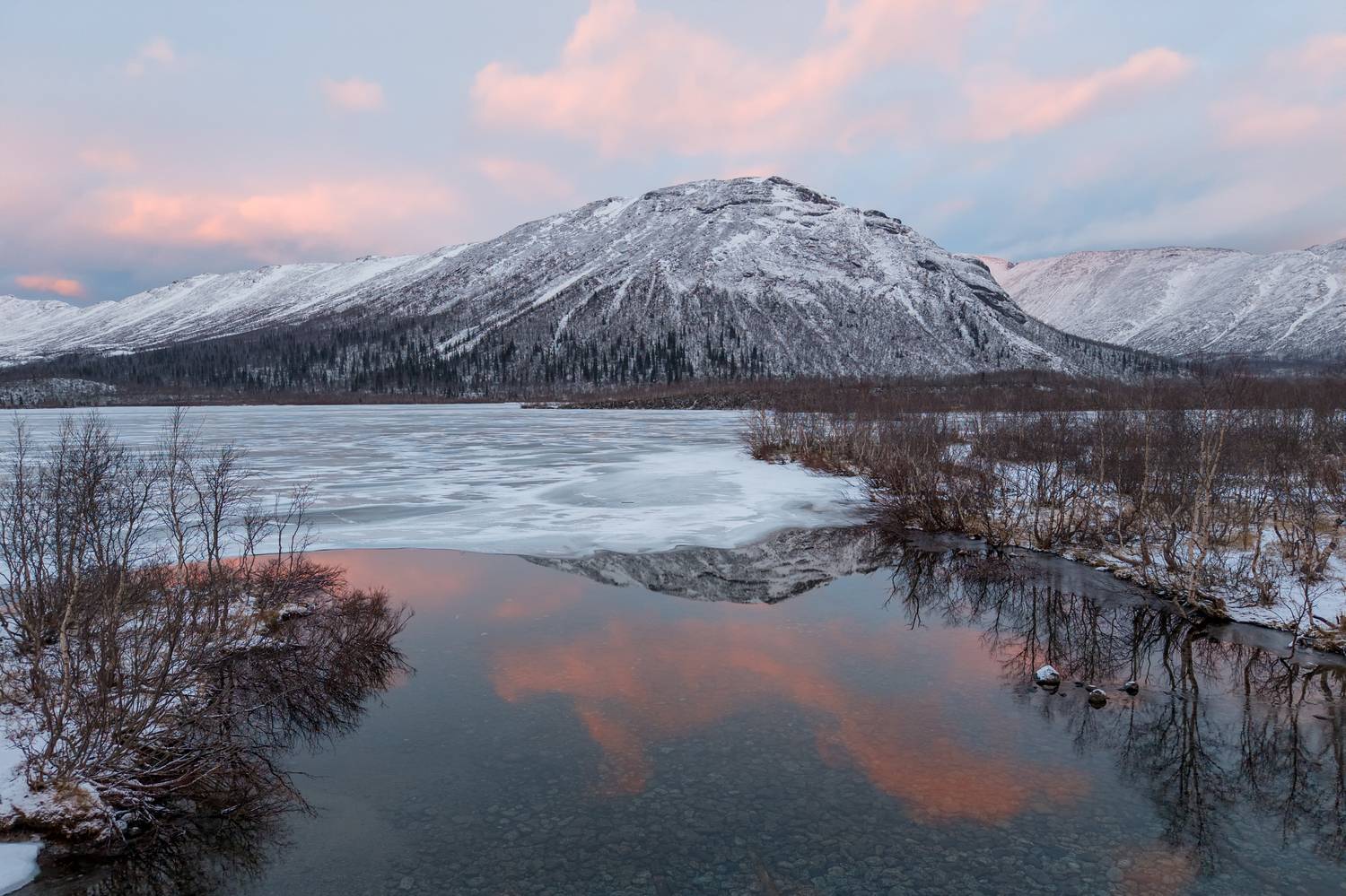 , Карамышева Дарья