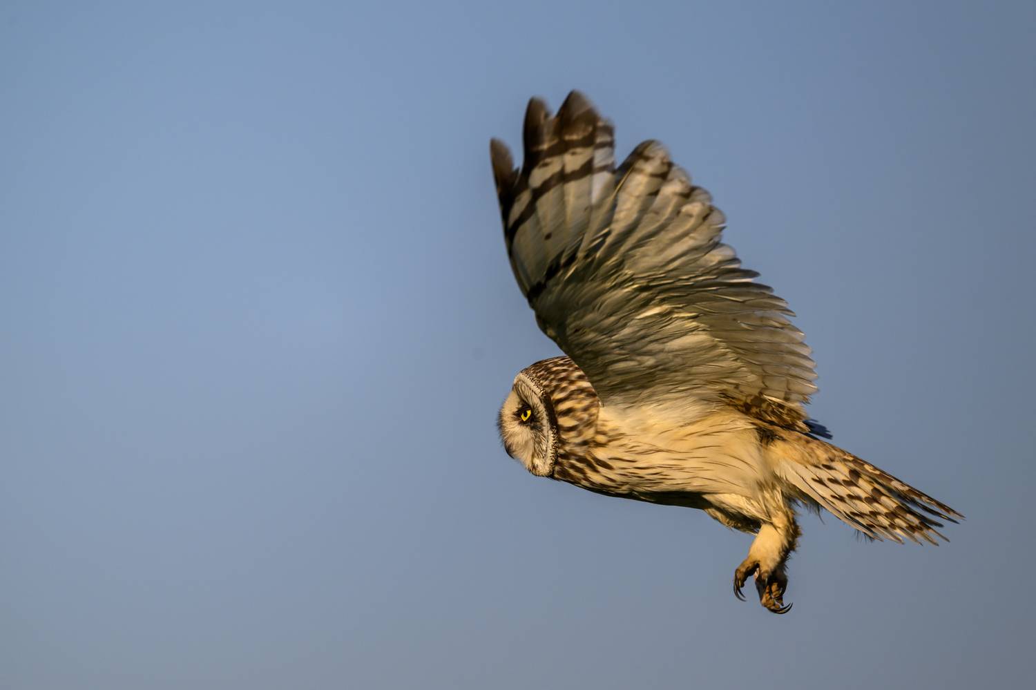 , Пупонин Сергей