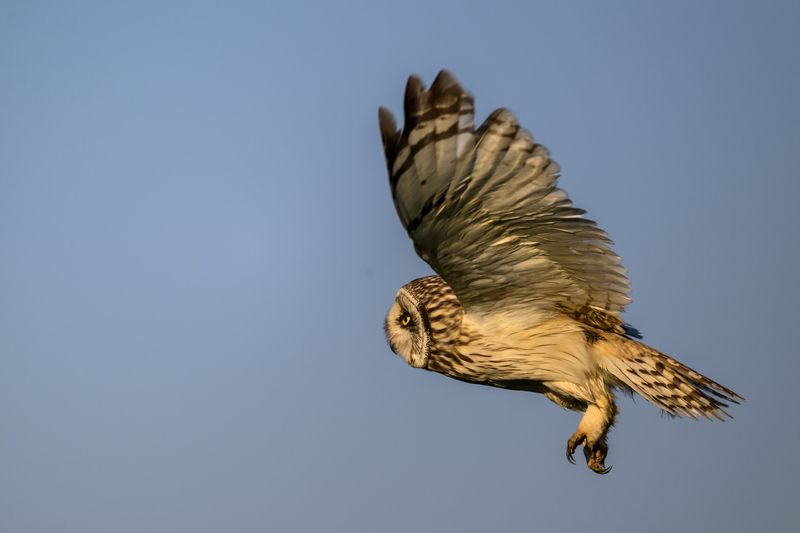 Полет валькирии фото превью