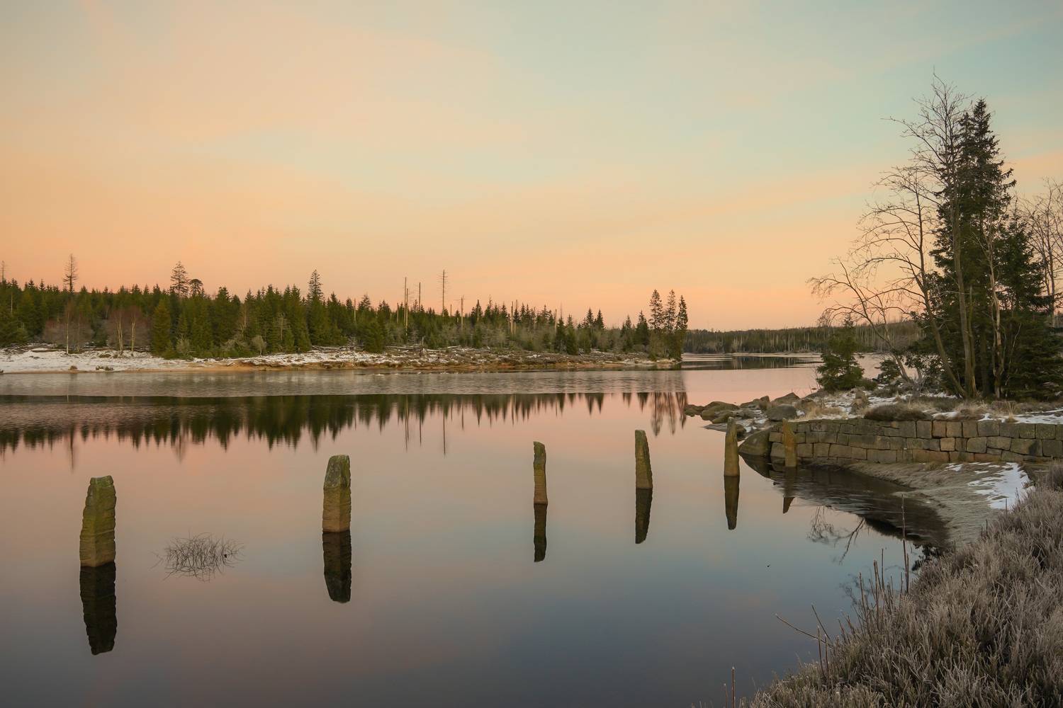 , Игорь Дубровский