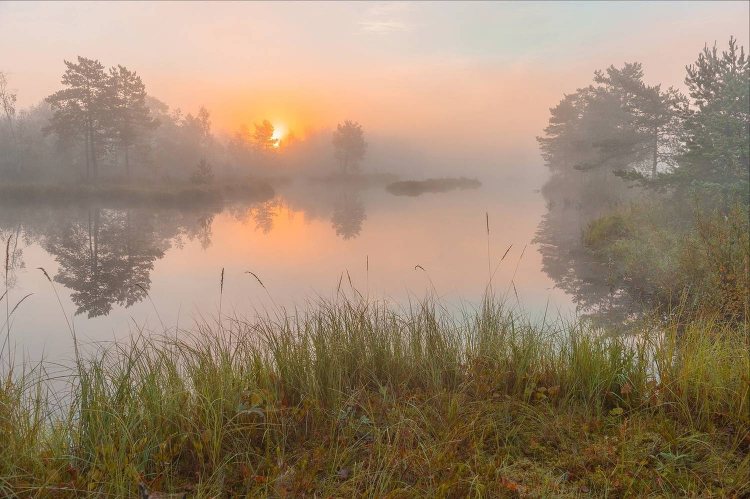 , Петр Косых