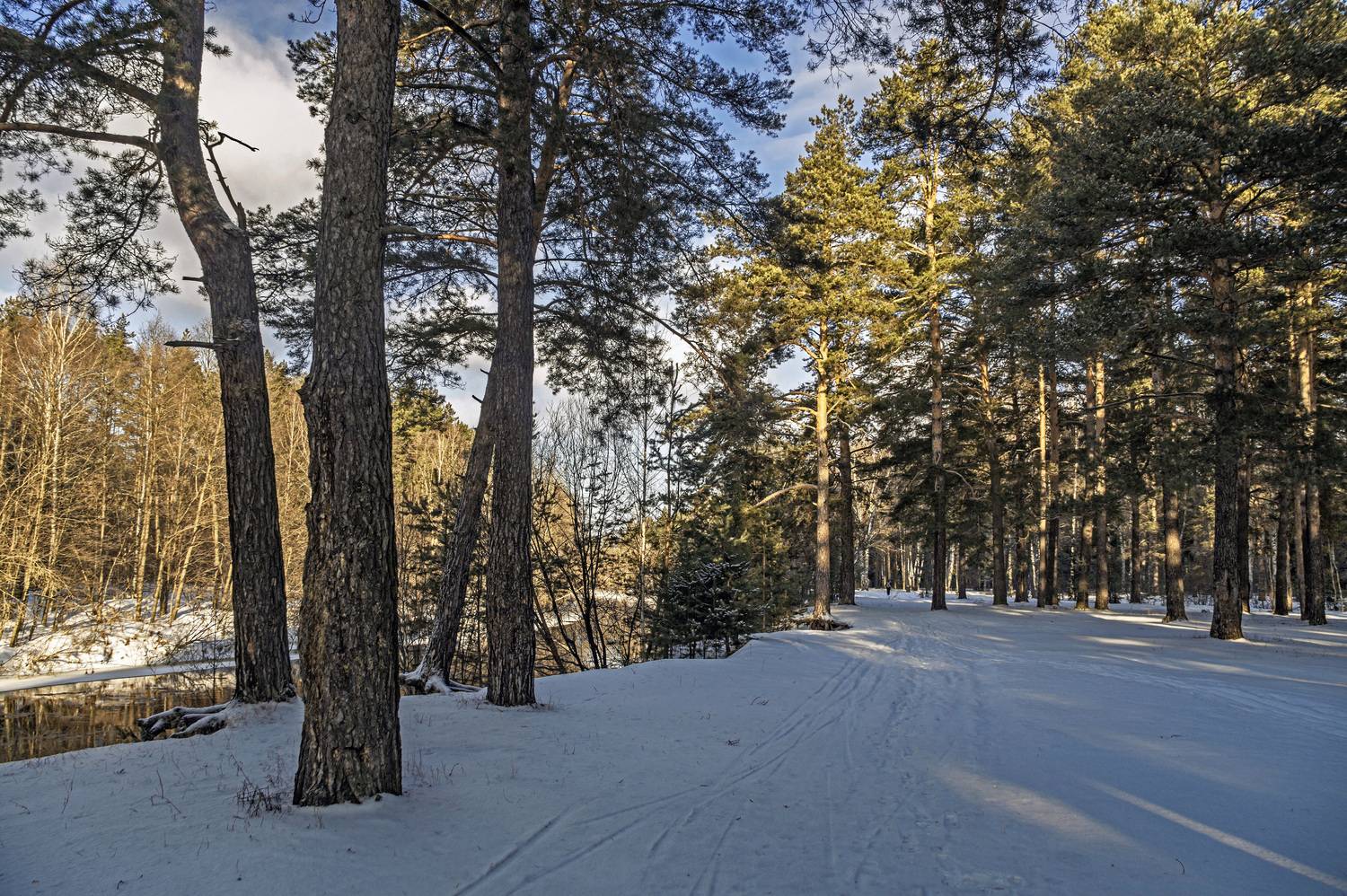 , Шитов Александр