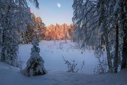 Короткий зимний день