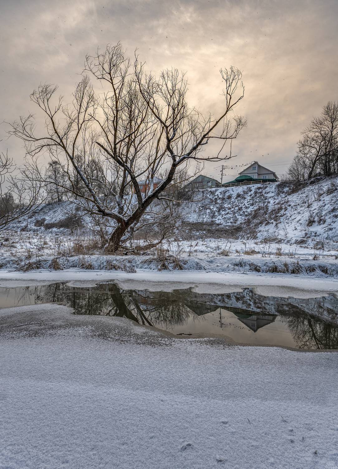 , Андреев Николай