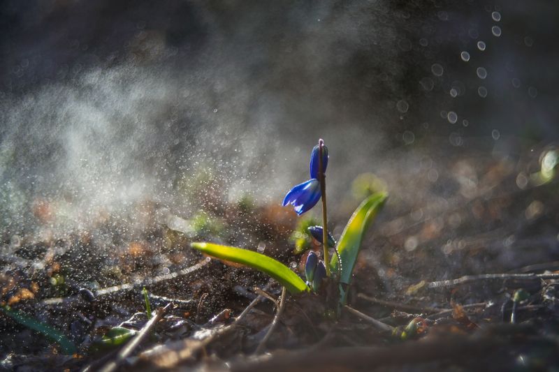 Оттепель фото превью