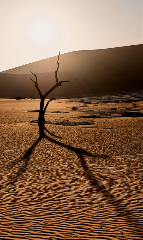 Пустыня, desert, Намибия, Namibia  Живая  фото превью