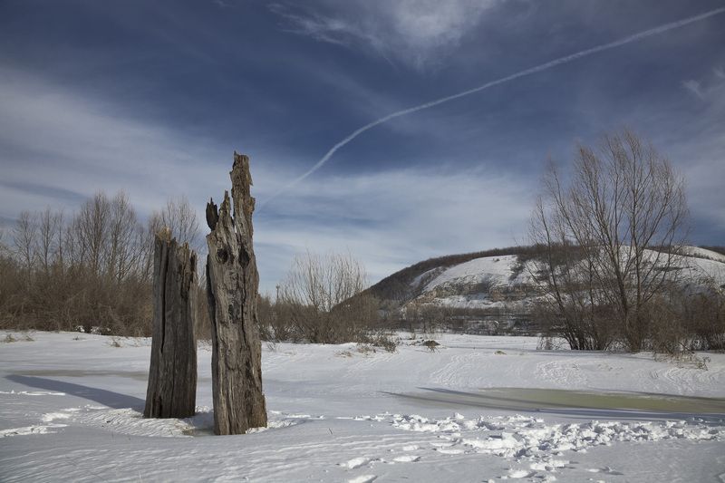 зима Два дерева фото превью