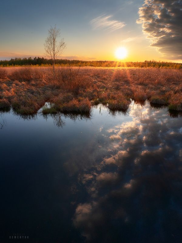 коккоревский заказник, ленобласть, ладога, болото, отражения, весна. Небо болота фото превью