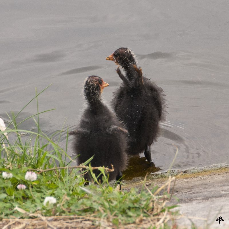 Улыбаемся и машем! фото превью