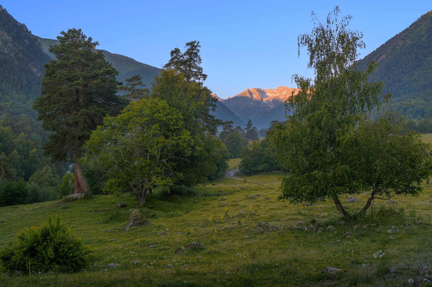 , Роман Фабричный