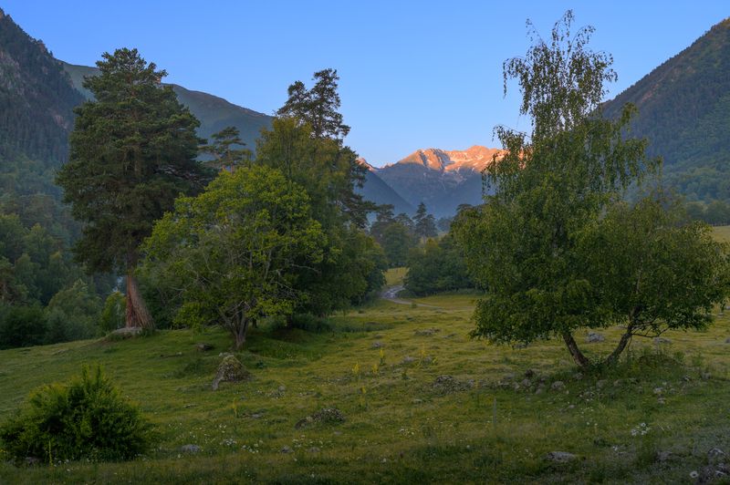 *** фото превью