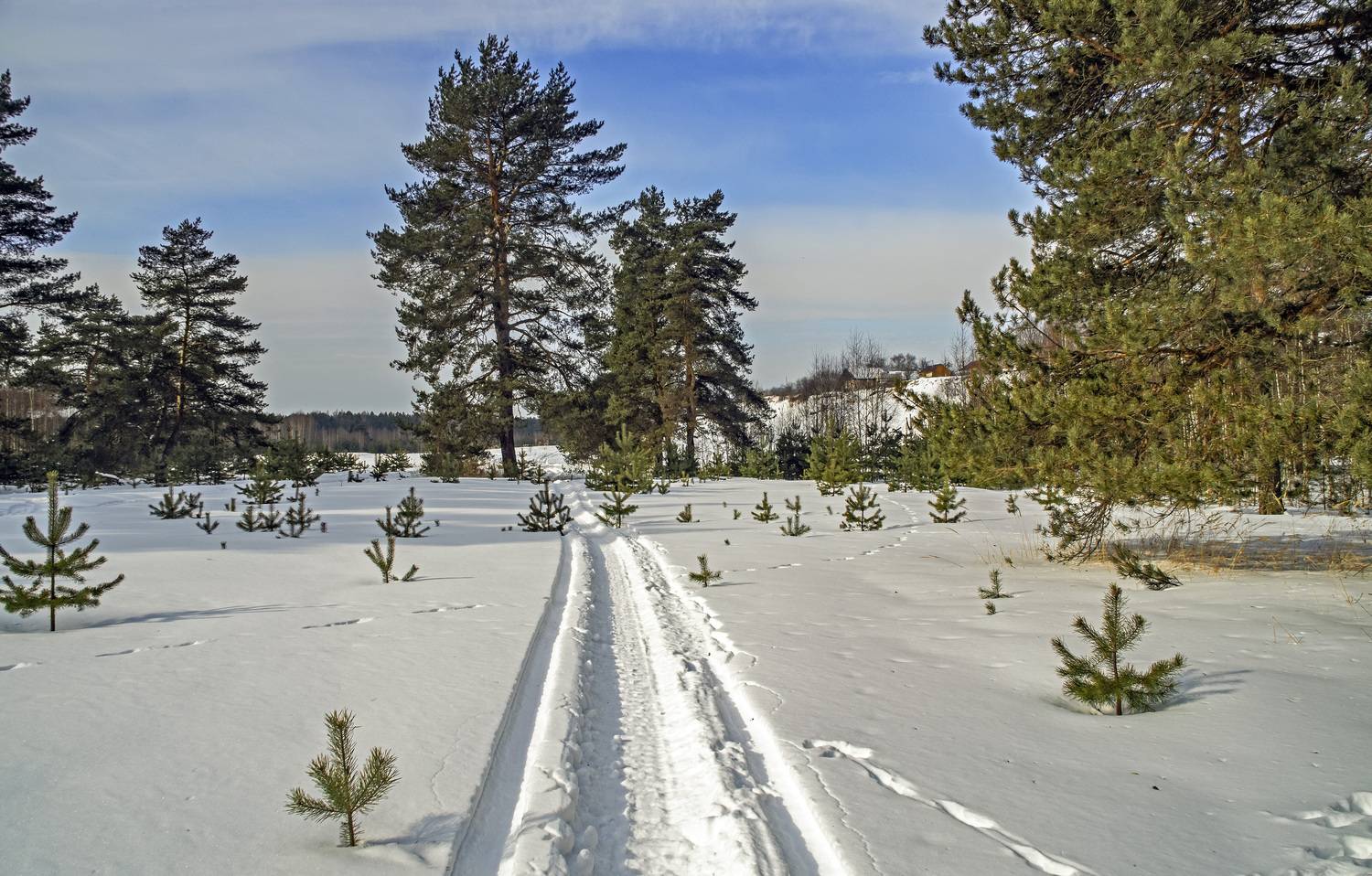 , Шитов Александр