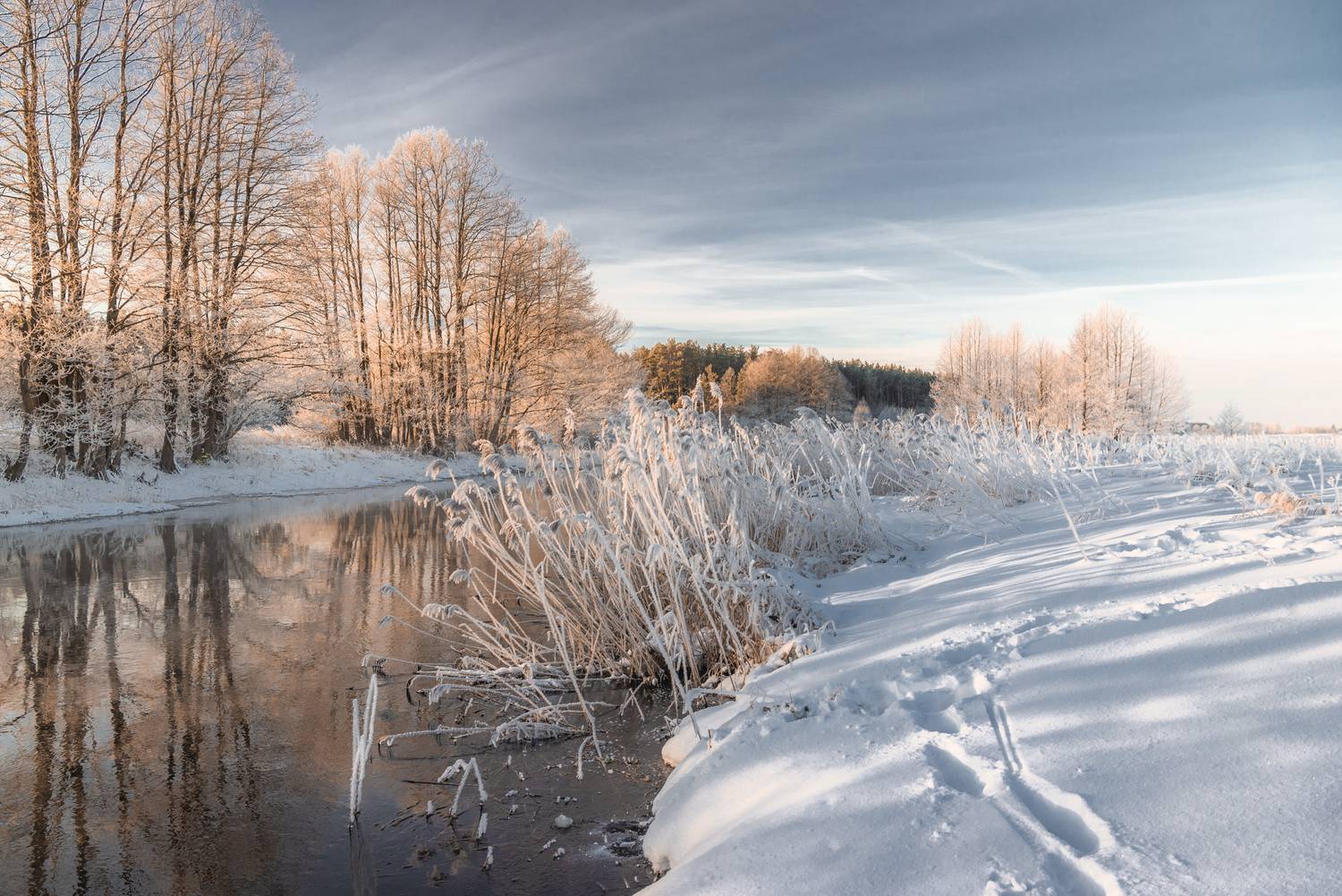 , Руслан Авдевич