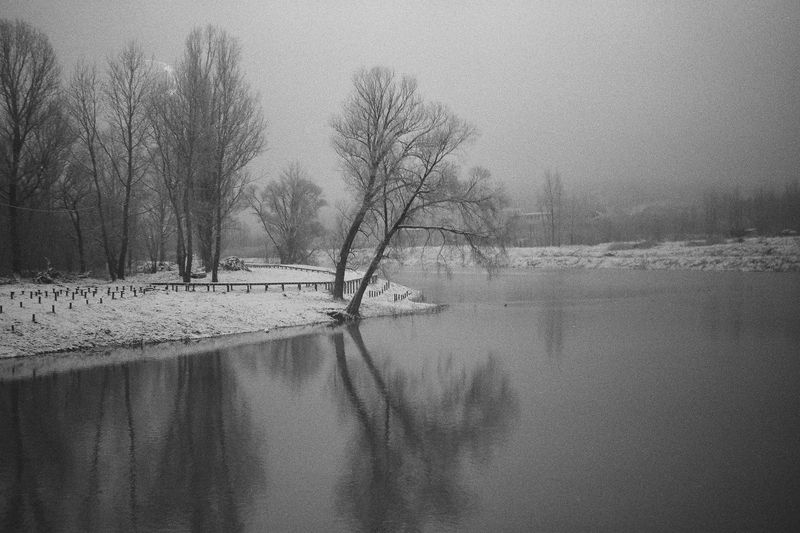 Зимний сон фото превью