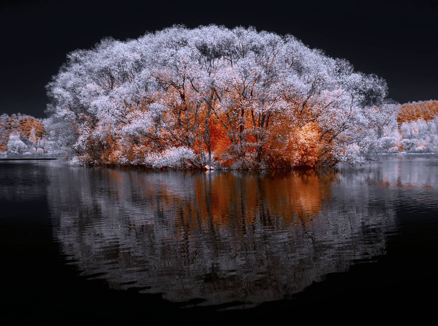 infrared,ик-фото,инфракрасное фото, инфракрасная фотография, пейзаж, весна,  Sixten (Сергей)