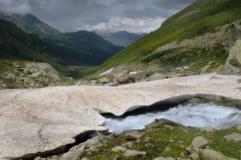 Снежник. фото превью