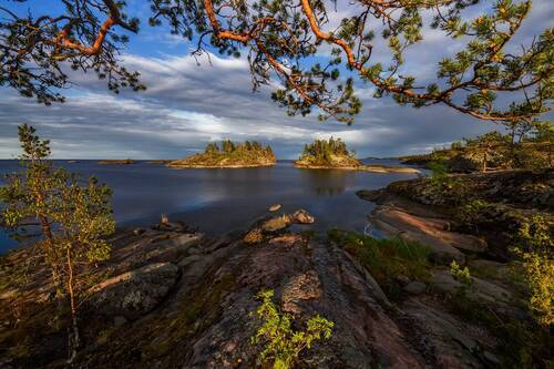 Окно в лето... 