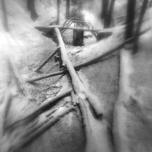 Старое русло.