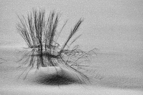 Зимний минимализм