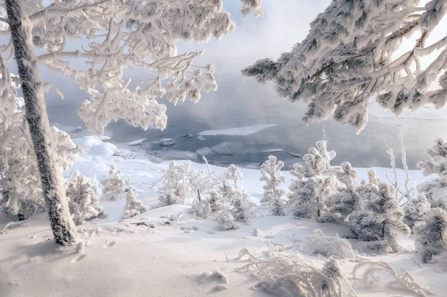 зима, мороз, река, енисей, льдинки, иней, туман, куржак, сибирь, енисейская сибирь, Фомина Марина