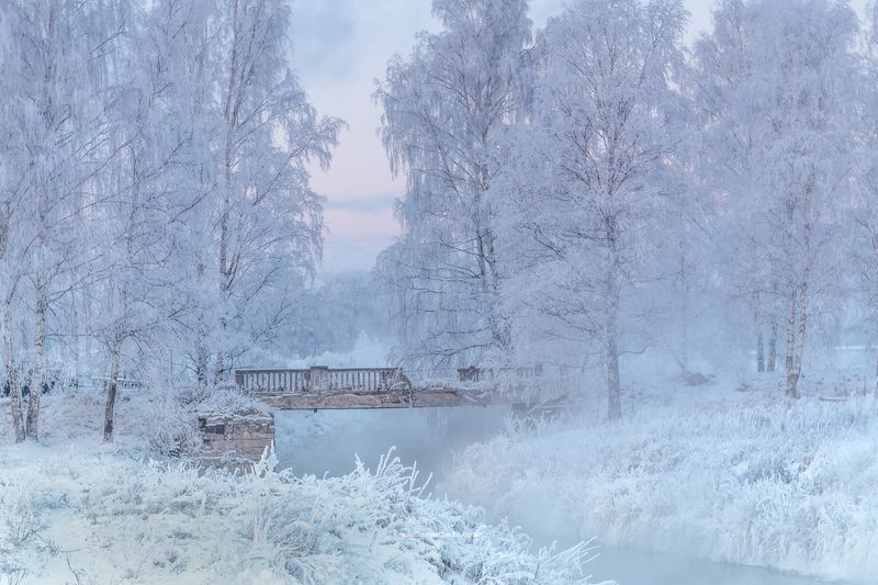 питер, пушкин, царское село, царское,  landscape, tsarskoye selo, городской пейзаж, санкт-петербург Немного питерской зимы фото превью