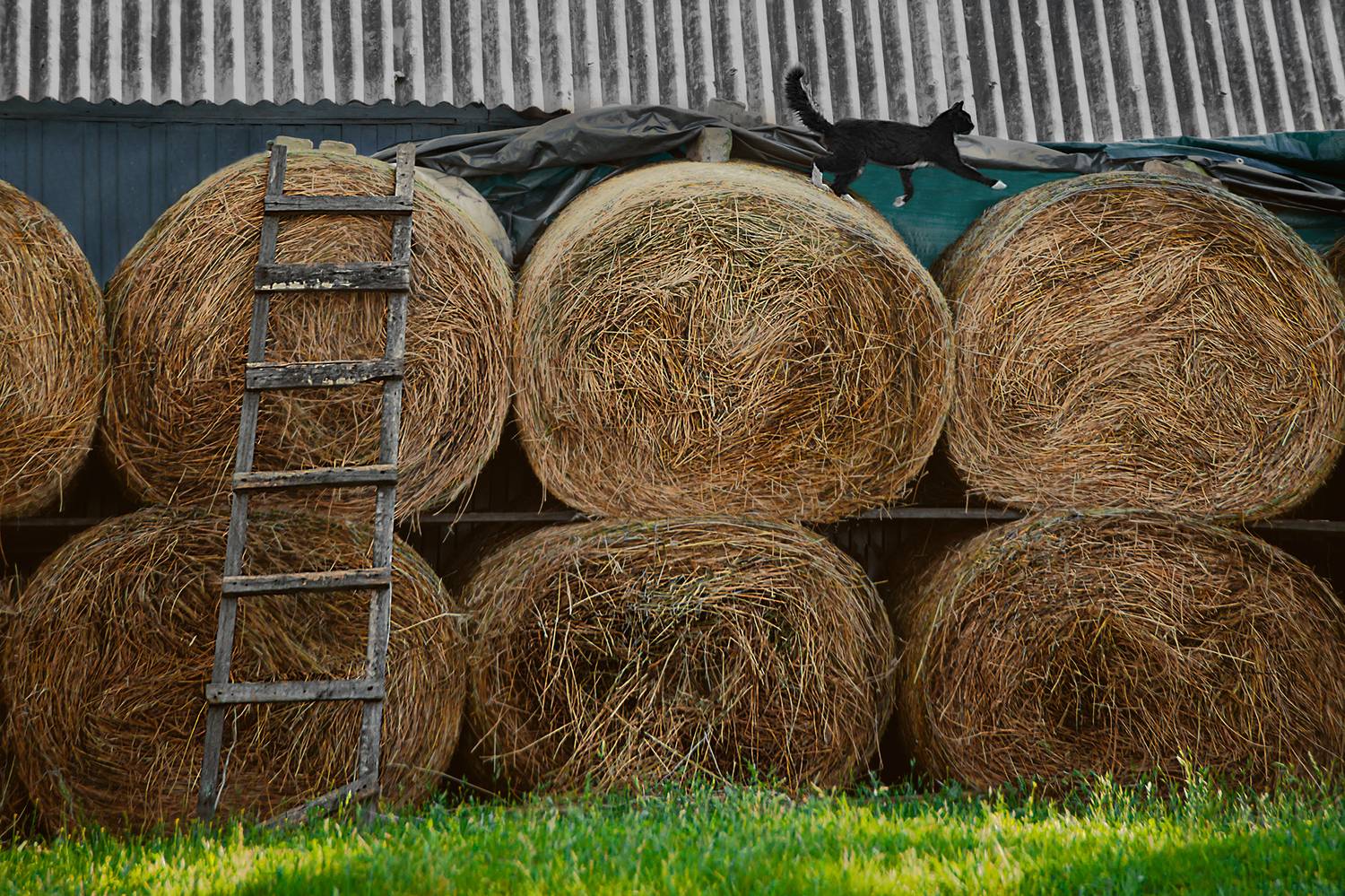 , Владимир Ноздрачев