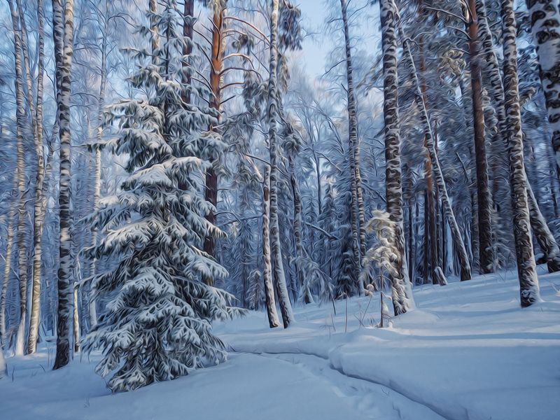 Зимняя открытка. фото превью