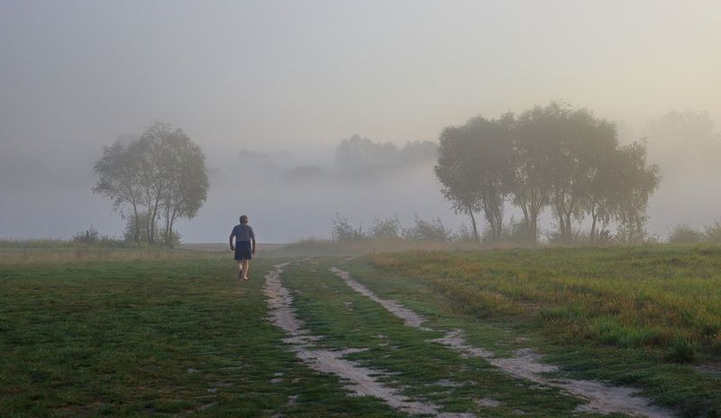 Встречая новый день фото превью