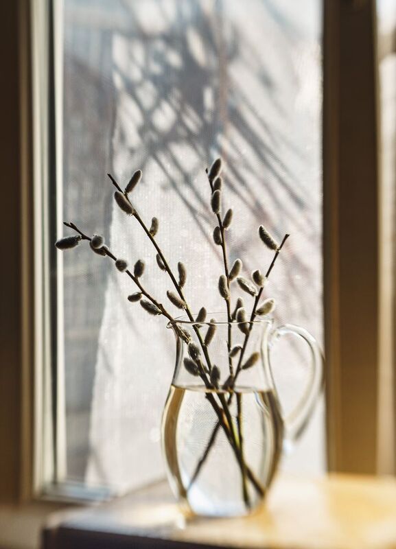 В предчувствии весны фото превью