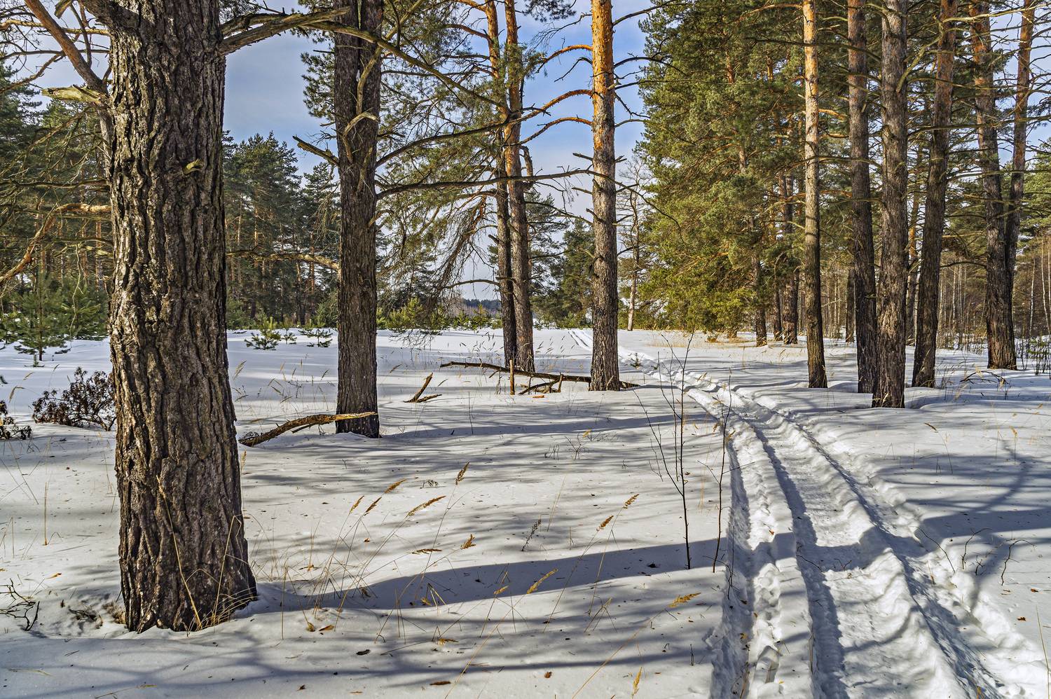 , Шитов Александр