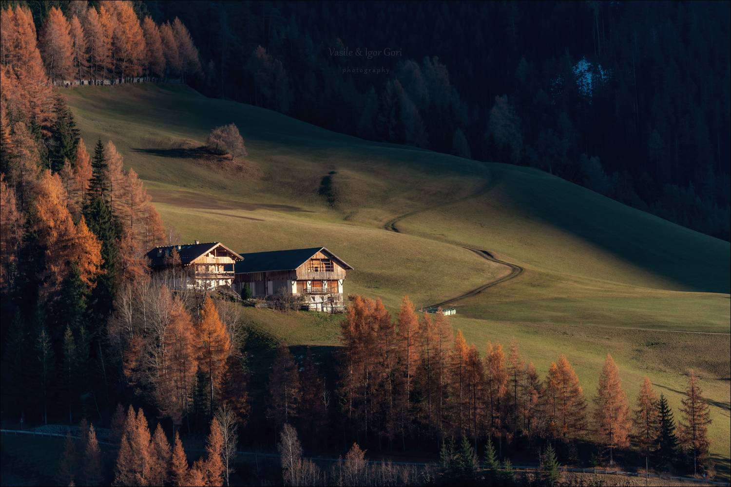 доломитовые альпы,santa maddalena,деревня,val di funes,осень,odle,италия,alps,ranui,san giovanni,hills,rural, Гори Василий