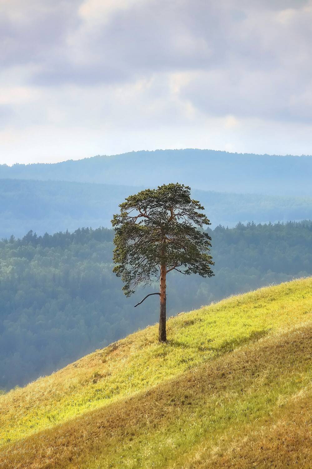 , Пермяков Михаил