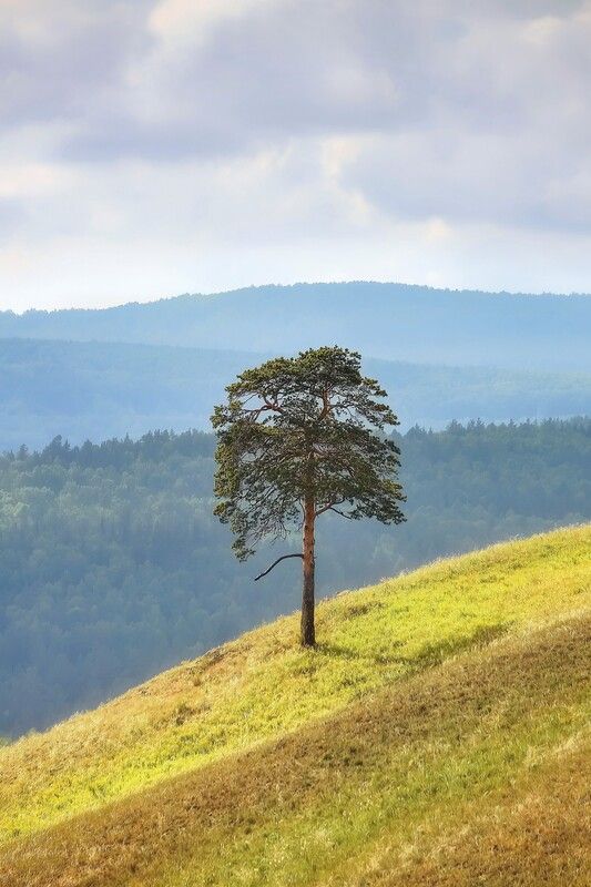 Ильич фото превью