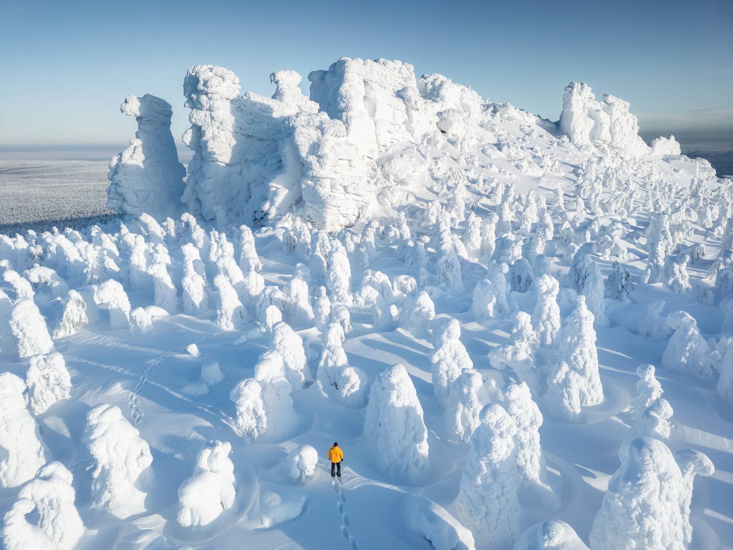 , Козаченко Алексей