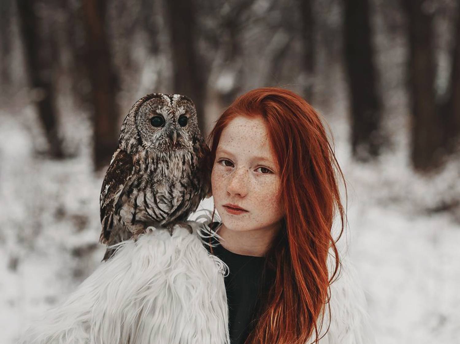 35mm, 4x5, 6x6, 6х6, 85mm, Art, Artnude, Ballerina, Ballet, Battur, Beautiful, Beauty, Canon, Canon 5D Mark III, Car, Color, Dance, Dress, Emotion, Eyes, Face, Flowers, Ganzo, Genre, GirlHair, Hero,LightLilac, Model, Mongol, Mongolia, Вероника Гергерт