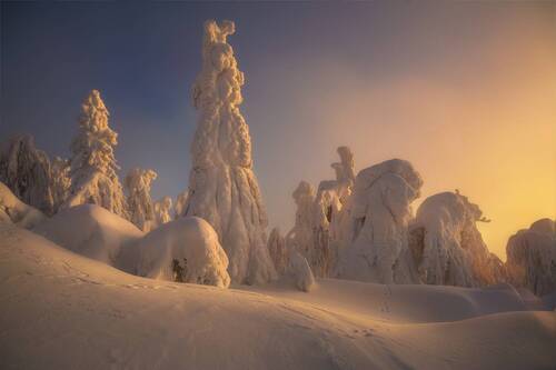 На просторах Полюда