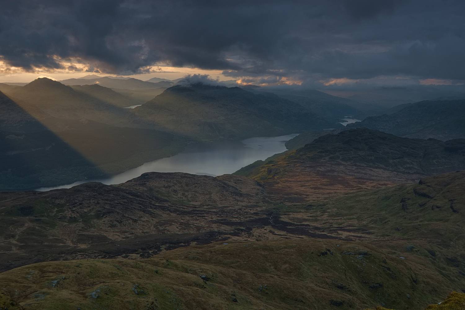 , Wojciech Tarnowski