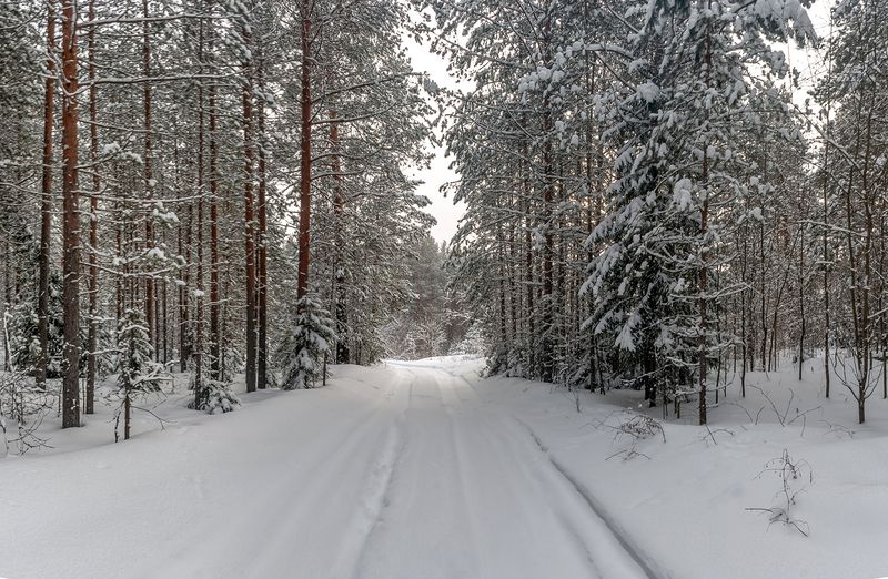 Февральским днём. фото превью